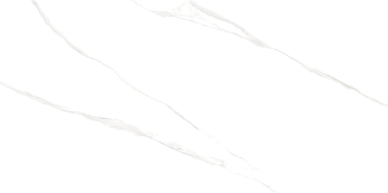 Porcelanato Retificado Polido Monet 61 x 120 cm Helena